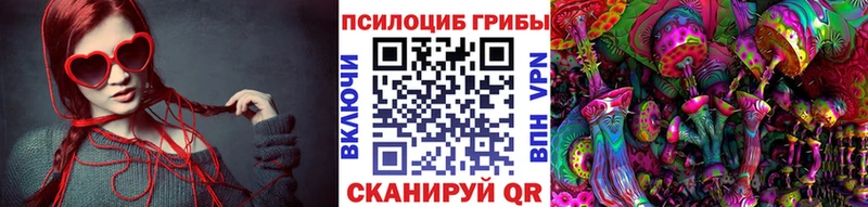 Псилоцибиновые грибы Cubensis  Суджа 